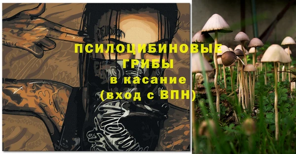 Альфа ПВП Абаза