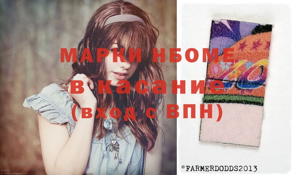СК Няндома