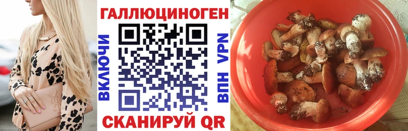 Псилоцибиновые грибы мицелий  Северская 